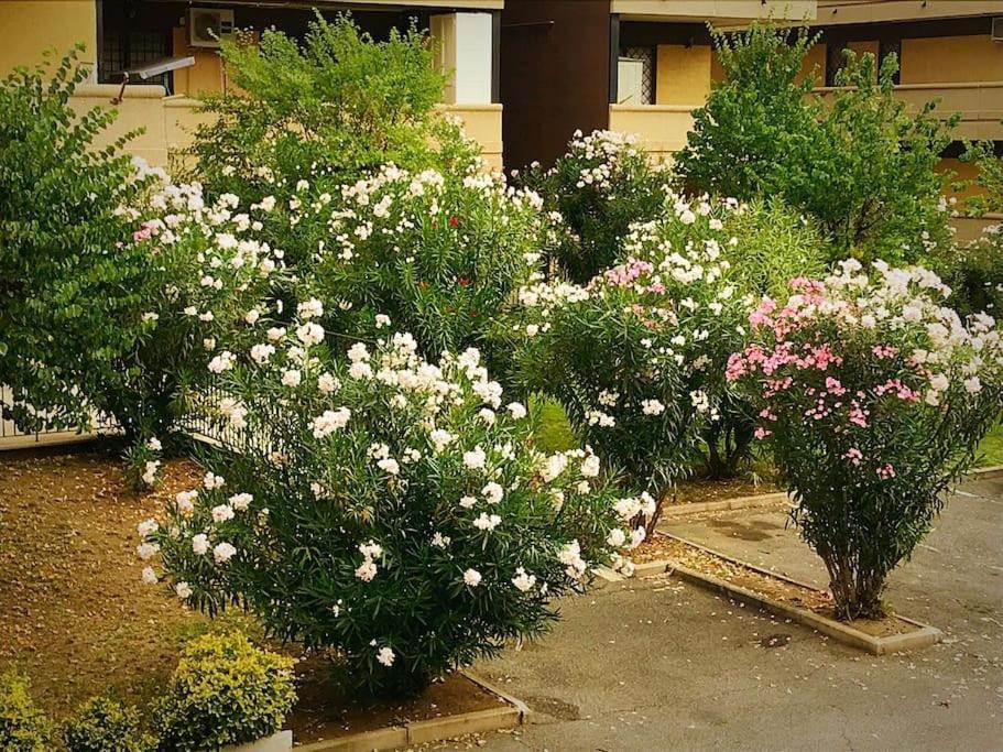 Apartment With Private Parking - Roma Est. Lunghezza Екстер'єр фото